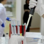 Ученые заставили стволовые клетки самоорганизоваться в мозжечок