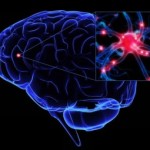 Экперты обнаружили ускоряющие старение мозга мутации