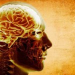 Ученые рассказали, как уровень глюкозы влияет на память