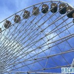 Парк «Винновская роща» в Ульяновске будет реконструирован