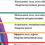 Семь тел человека