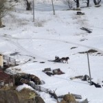 В Омской области туристам предлагают пройтись по тракту каторжан