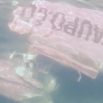 В Новой Зеландии пассажиры успели выпрыгнуть из самолета