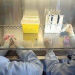 В России зафиксировано 40 случаев подозрения на Эболу