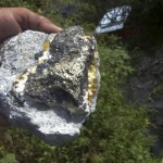 Бактерии создали крупнейшее месторождение золота