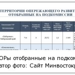 Частные инвестиции в первые три ТОР на Дальнем Востоке составят 50 млрд рублей