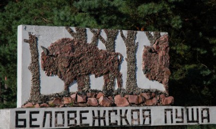 Иностранные туристы смогут посещать Беловежскую пущу без виз